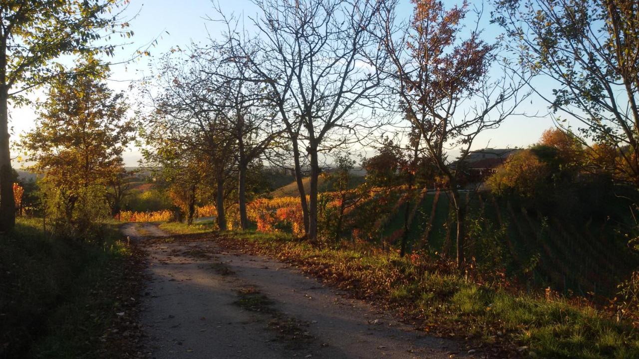 Cascina Torello Dogliani Exterior foto