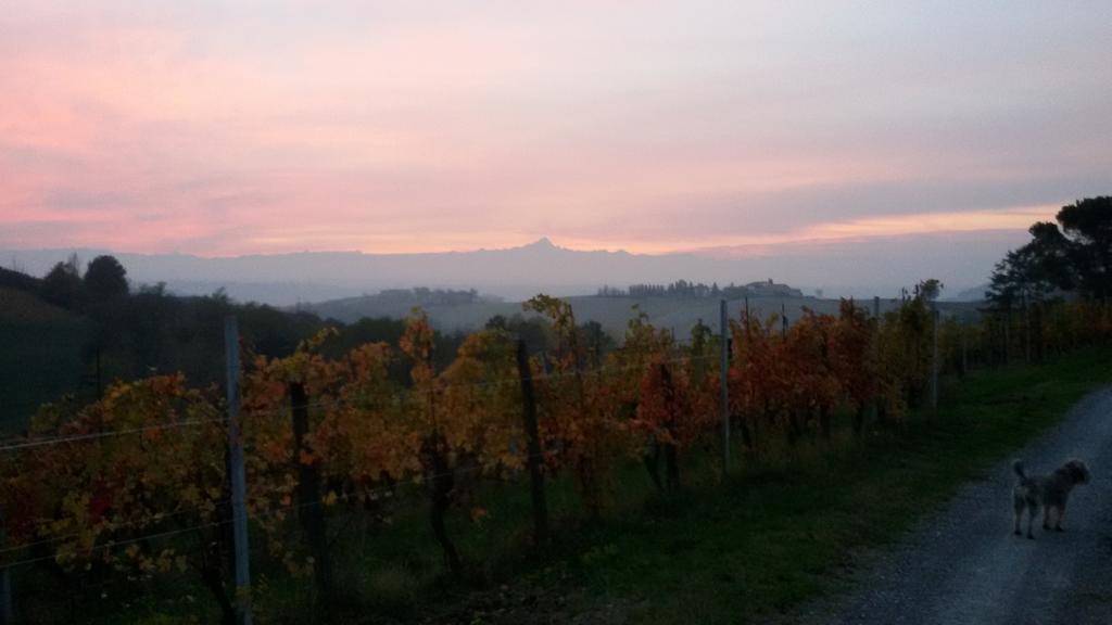 Cascina Torello Dogliani Exterior foto