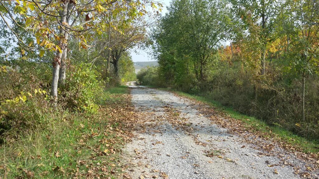 Cascina Torello Dogliani Exterior foto